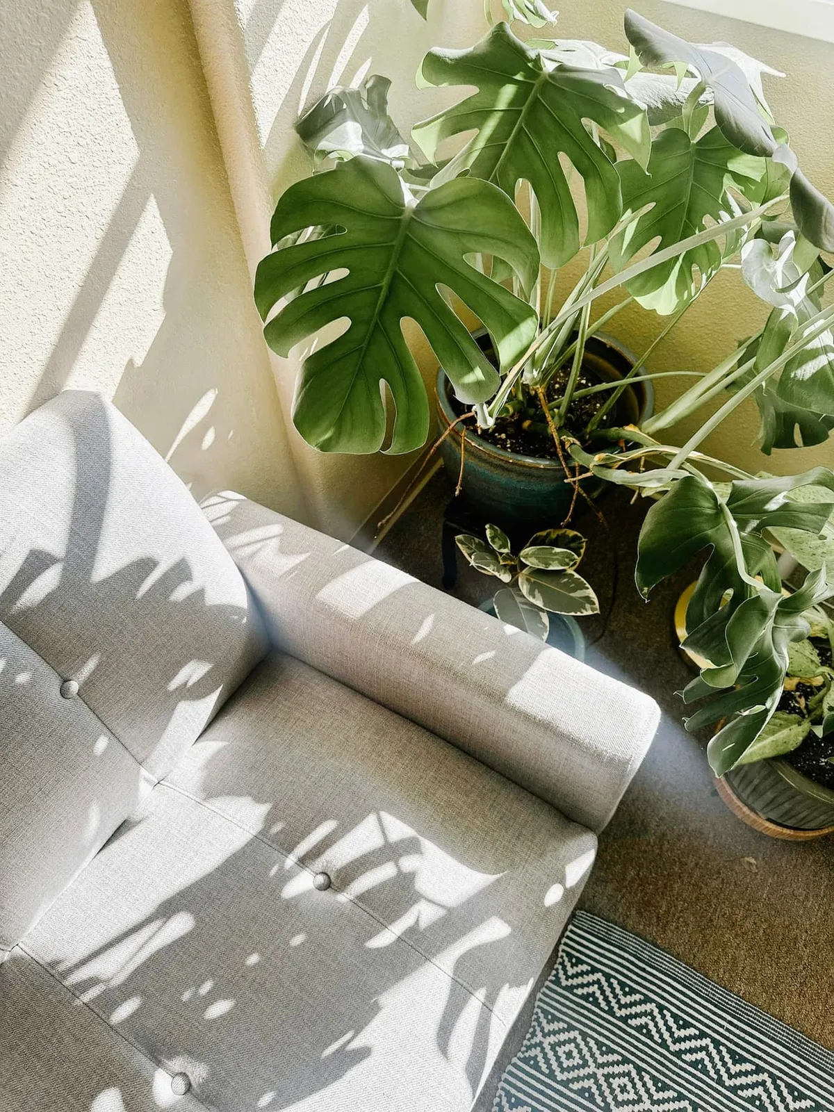 Armchair by the window next to a large monstera