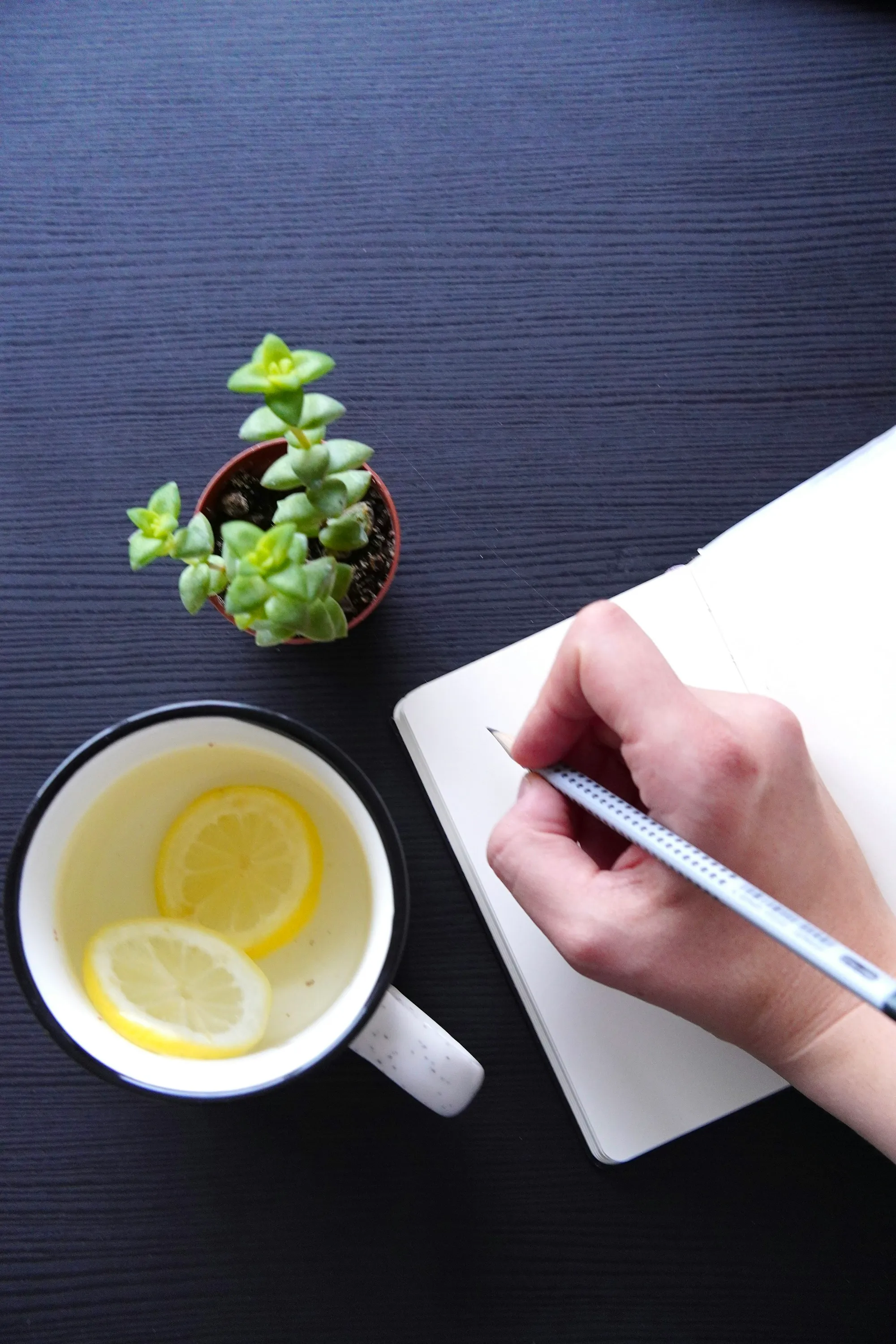 A hand writing notes in a notebook, next to tea with lemon